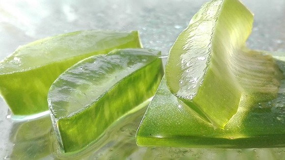 含有芦荟的顶级护肤产品