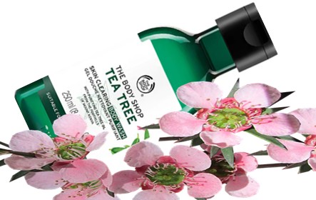 The Body Shop Tea Tree Skin Clearing Body Wash茶树身体沐浴露