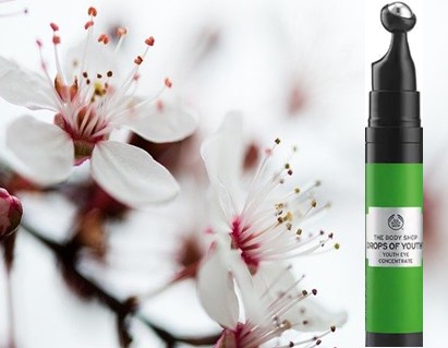 The Body Shop Drops Of Youth™ Eye Concentrate眼部护肤浓缩液