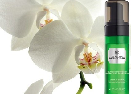 The Body Shop Drops of Youth™ Gentle Foam wash 温和泡沫洁面乳