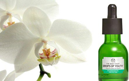 The Body Shop Drops of Youth™ Concentrate 浓缩精华液