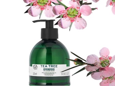 The Body Shop Tea Tree Hand Wash 茶树洗手液
