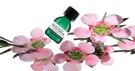 The Body Shop Tea Tree Oil 茶树油