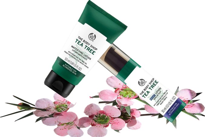 The Body Shop Tea Tree Mattifying Lotion茶树哑光保湿乳液