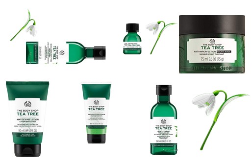 The Body Shop Tea Tree (最受欢迎的茶树系列产品)