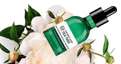 The Body Shop Tea tree Anti-imperfection Daily Solution茶树防瑕疵护肤精华液