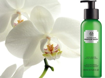 The body Shop Drops of Youth Youth Liquid Peel美体小铺青春去角质液