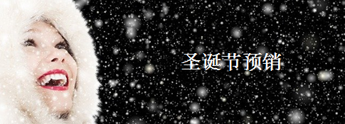 christmas presale 圣诞节预销
