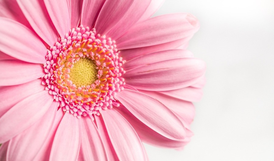 含有 SPF 的最佳护肤产品