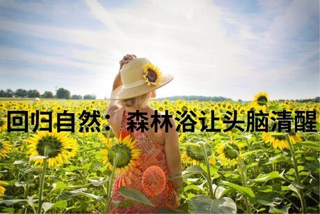 回归自然：森林浴让头脑清醒