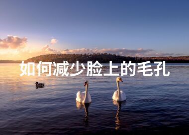 如何减少脸上的毛孔