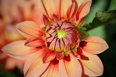 如何缩小面部毛孔：综合指南