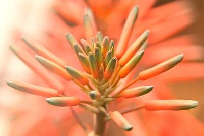 揭秘面部精华液的益处：综合指南