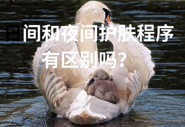 日间和夜间护肤程序有区别吗？
