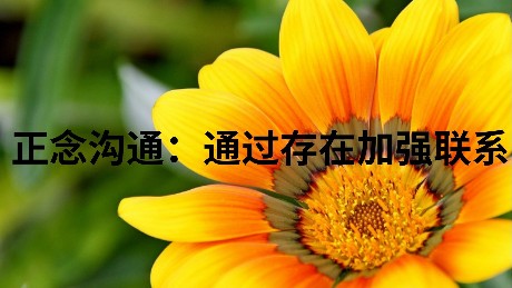 正念沟通：通过存在加强联系