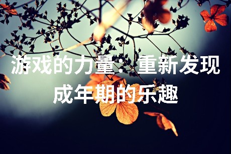 游戏的力量：重新发现成年期的乐趣